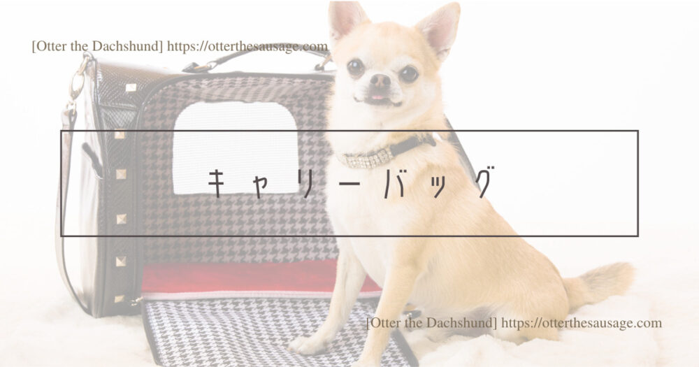 Blog Header image_犬と旅行_犬連れ旅行_travel tips for riding on the bullet train with dogs_Otter the Dachshund_犬連れ新幹線の乗り方完全マニュアル_キャリーバック
